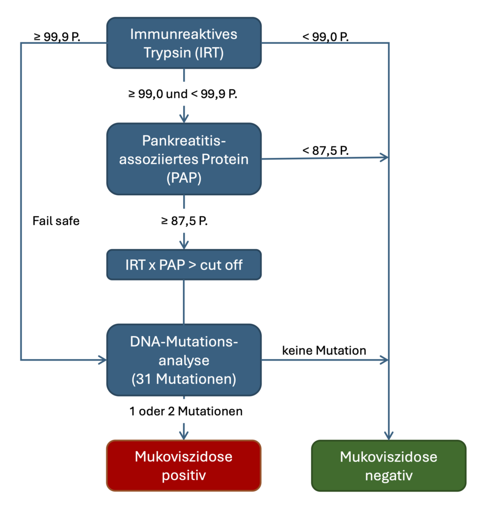 Screening-Algorithmus auf Mukosviszidose (Cystische Fibrose, CF)